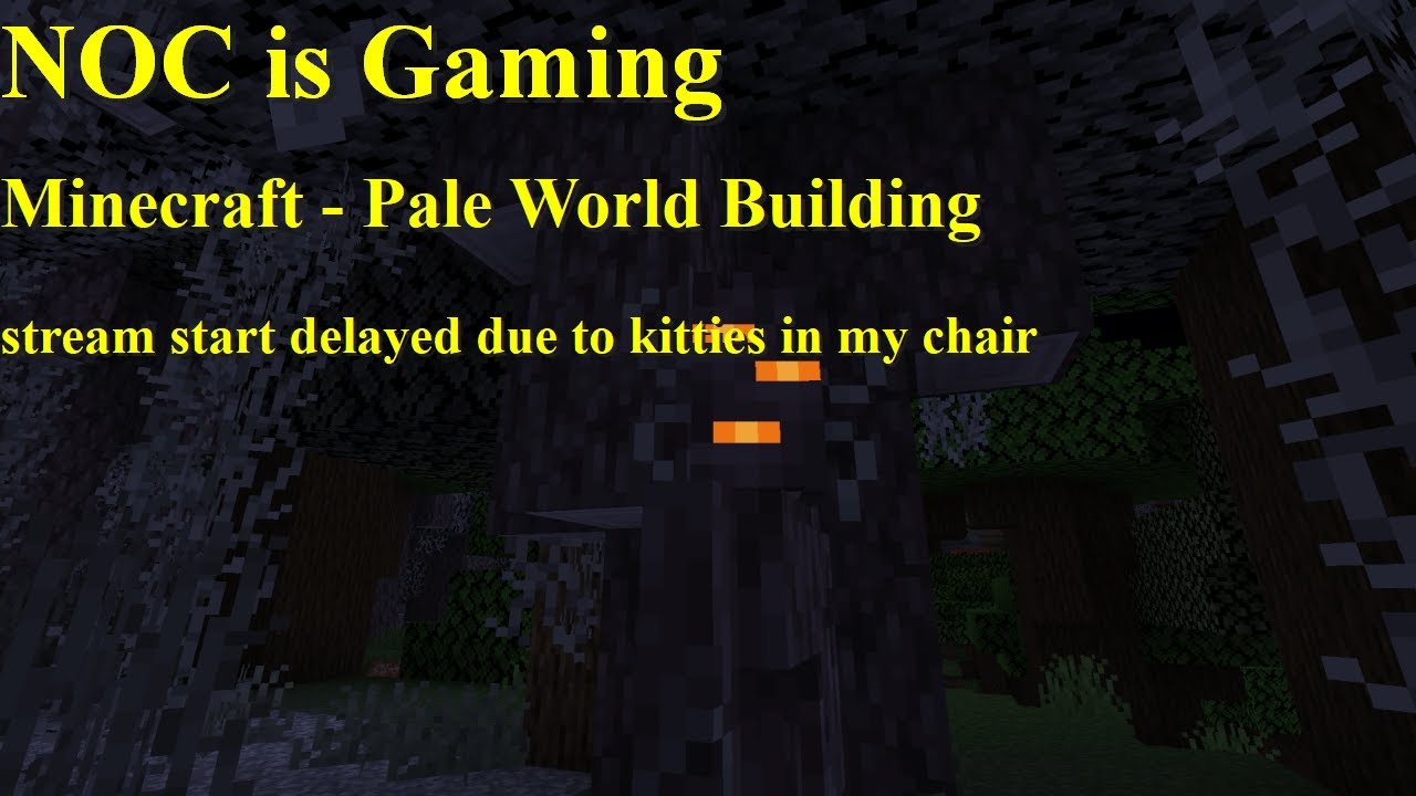 NOC is Gaming - Minecraft - Pale World Building