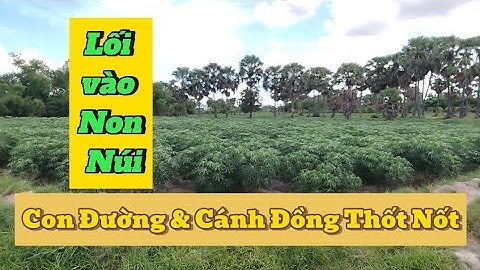 Quên cả lối về với cảnh đẹp Vùng Thất Sơn Thị xã Tịnh Biên, An Giang