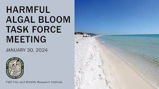 HAB Task Force Meeting: January 30, 2024