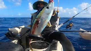 Jigging technique for yellow fin Tuna