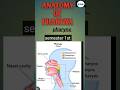 PHARYNX ANATOMY AND PHYSIOLOGY IN HINDI||STRUCTURE ||PARTS OF PHARYNX #pharynx #anatomy# bscnursing