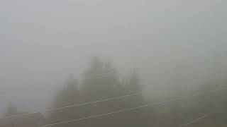 Lomalinda 2022-08-19