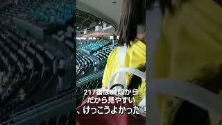 甲子園グリーンシート上段の31段217番が特別な理由！！2022/10/2
