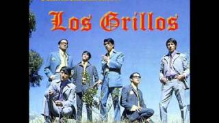 Video thumbnail of "Los Grillos   dama de Azul"