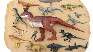 12 Dinosaurs And Owen Toys! Learn Dinosaur Names For Kids - 공룡 이름 배우기