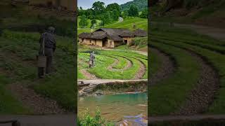 011 There are millions of acres of fertile land under your feet, but you only love in countryside.