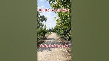 Đất Cần Giuộc. Diện tích 337m2 thổ cư đường xe hơi xã Mỹ Lộc- Cần Giuộc, gần QL50B giá tốt, SHR