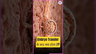 What really happens after an Embryo Transfer? | Embryo Transfer के बाद क्या?  #embryotransfer
