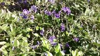 WP 20160414 013