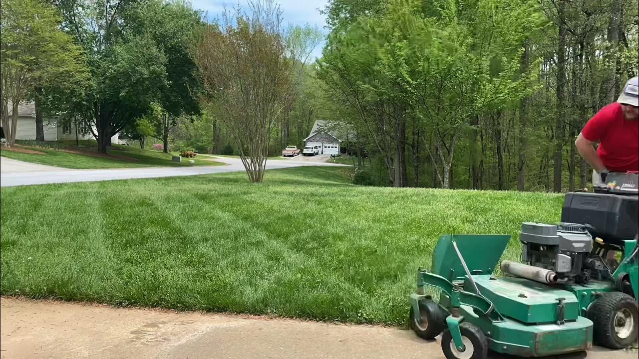 Fescue Rescue! Overgrown Tall Fescue Lawn Striping! YouTube