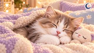 🐱 Quiet Windowsill Dreams | Gentle Music for Cats | Sleep & Rest | 2 Hours screenshot 4