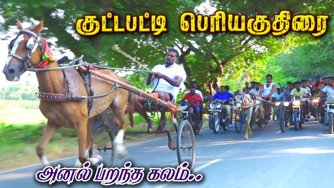 4கரூர்[மா]-கீழாகுட்டப்பட்டி -18ஆயிரம்-.04.02.2024