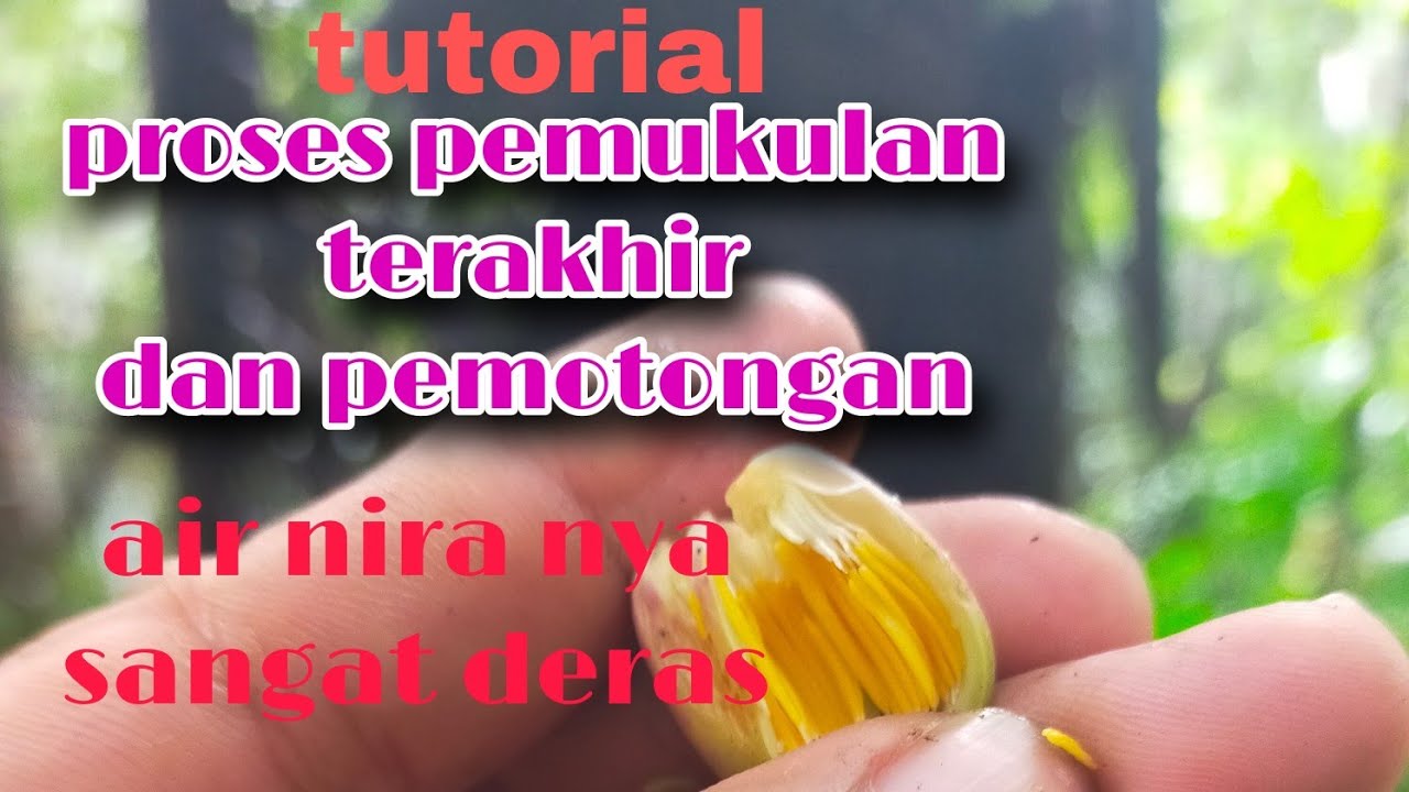 cara pemukulan terakhir dan pemotongan