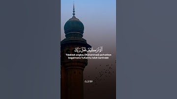 الم تر كيف فعل ربك بأصحاب الفيل #اكتب_شي_تؤجر_عليه #تلاوة_خاشعة