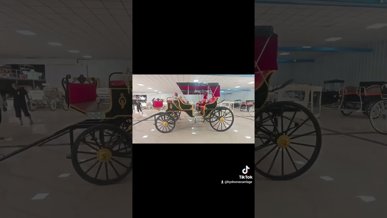 The Majestic horse drawn Carriage: Stepping into a Fairytale 