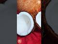 নারিকেলের তেল 🥥🪔 #shortvideo #shorts #trendingshorts #coconut #oil #real #easy