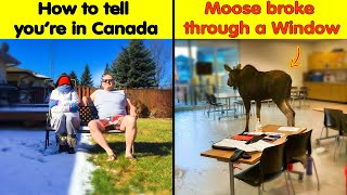 Funny Photos That Perfectly Sum Up Canada