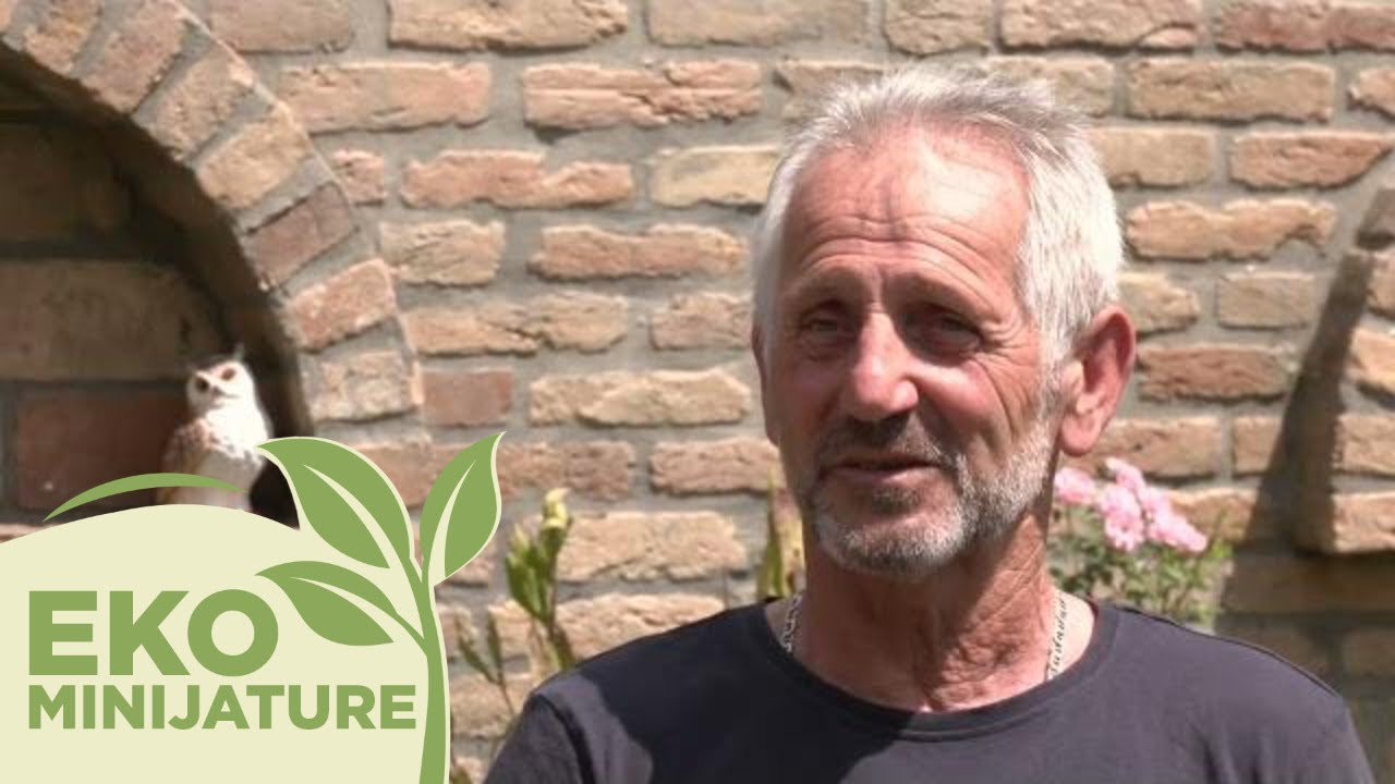 Eko minijature: Pčelarenje, 6. emisija / Košnica