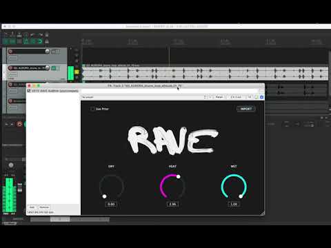 NASH Submission RAVE Audition