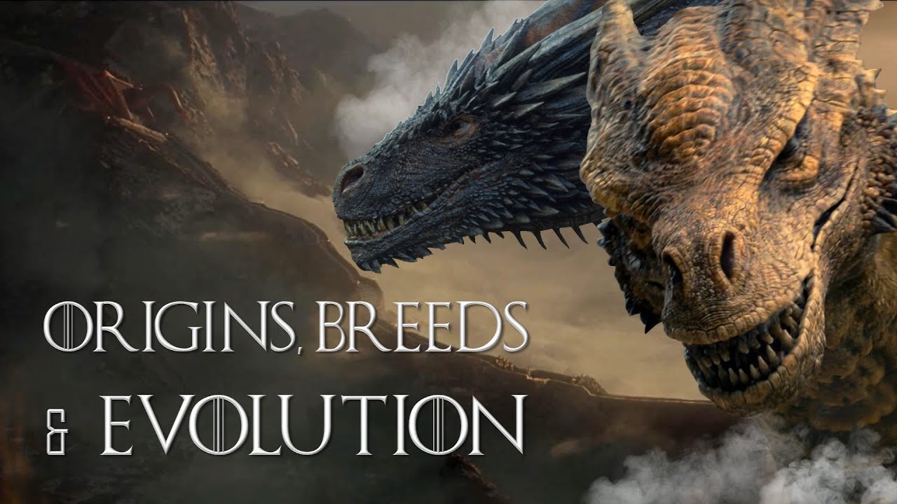 the-real-origins-and-different-sub-species-of-targaryen-dragons-youtube
