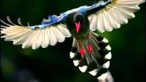 أذكار الصباح رائعه جدا ماشاء الله  douaa du matin impressionnant