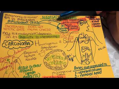 Malignant cells and