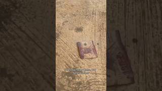 Pov Avoid See Finish. Types Of Dogs You Can Buy For Security