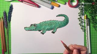 Timsah Çizimi / How to Draw an Alligator