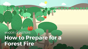 How to Prepare for a Forest Fire | Disasters