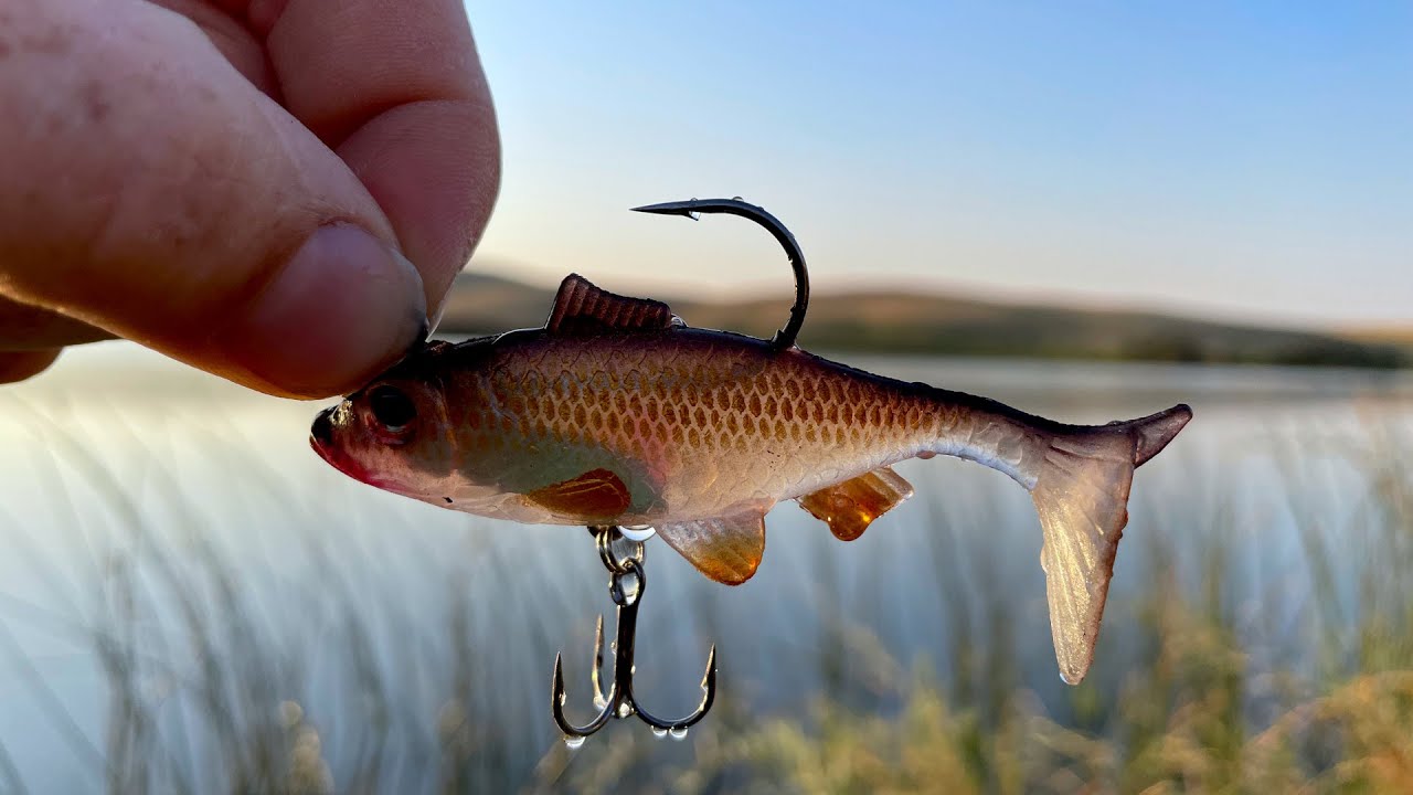 NEW Soft Plastic Flutter Tail VS Aggressive Northern Pike Shallow ...