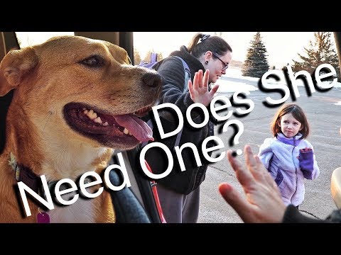are-we-getting-a-service-dog-for-our-autistic-daughter?
