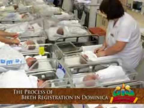 GIS Dominica: The Process of Birth Registration in Dominica