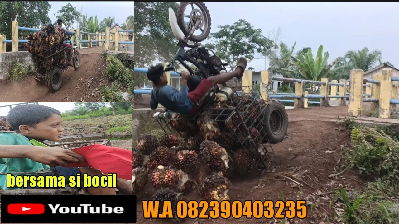 uji coba roda lima angkutan sawit tanyakan ekstrim