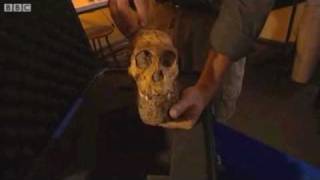 New Hominid Species Found - Missing Link