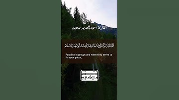 صوت ملائكي ينسيك الهموم | ما تيسر من سورة الزمر ❤ #عبدالعزيز_سحيم