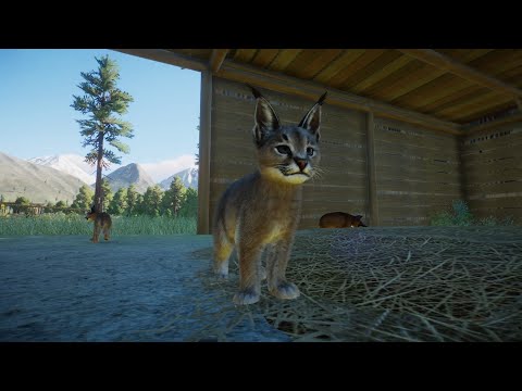 Planet Zoo (PC)(English) #143 7 Minutes of Caracal (Grasslands DLC)