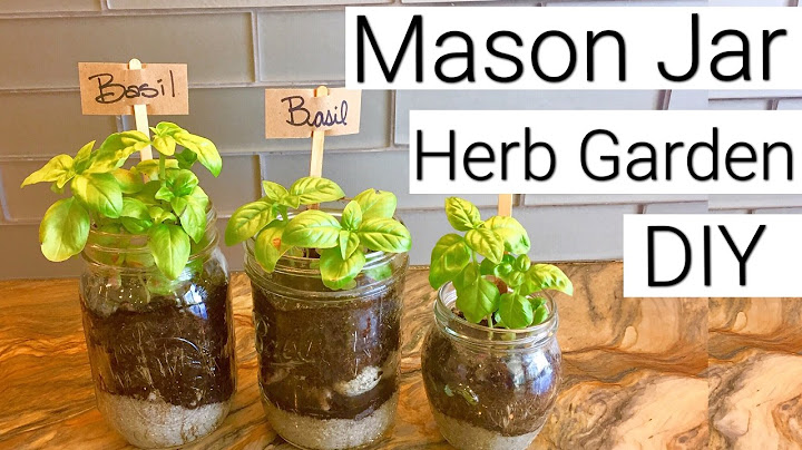DIY Mason Jar Herb Garden