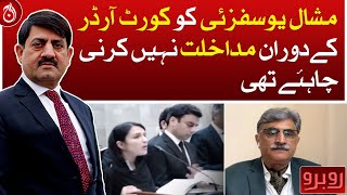 Mishal Yousafzai should not have intervened during the court order: Hasan Raza Pasha - Aaj News