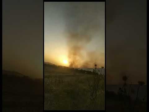 Allarme a Poggiorsini: scoppia un incendio sulla Murgia. Fiamme vicino alla polveriera dell'esercito