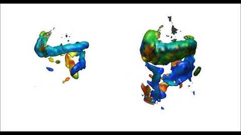 Vortex wake structure, experimental results on a dynamically-scaled flapping wing