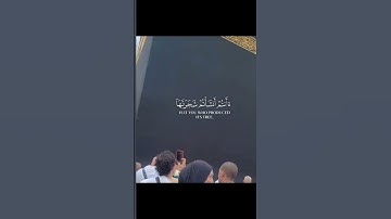 #قرآن #الدوسري #اكسبلور #قرآن #تلاوة_خاشعة #للقارء #تلاوات #fé #راحة_نفسية #لايك