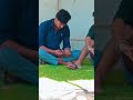 12 मार्च 2026