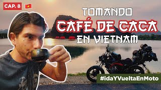 Vietnam y su CAFÉ DE CACA, el más caro del mundoSudeste Asiático en MotoCAP. 8