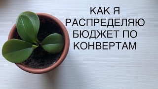 картинка: КАК Я РАСПРЕДЕЛЯЮ БЮДЖЕТ ПО КОНВЕРТАМ.