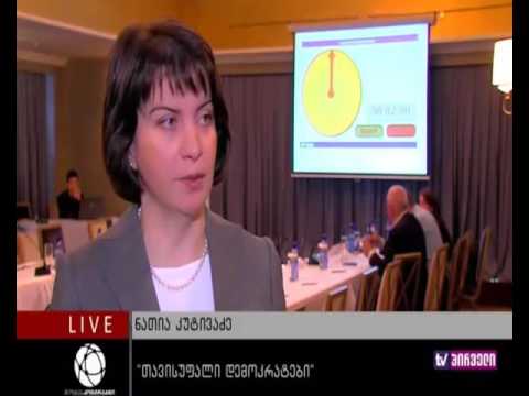 ნათია კუტივაძე - ჩვენი ეკონომიკური პროგრამა ითვალისწინებს თავისუფალი ბიზნესგარემოს შექმნას