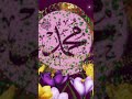 مسلمانوں کا شیوہ ہے محمد سے وفا کرنا نظم چینل نداءالاسلام