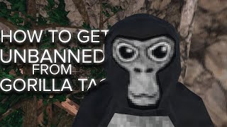 Top 3 how to get unbanned from gorilla tag