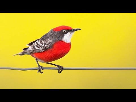 يافتاح ياعليم يارزاق ياكريم سلام عليكم بث صامت