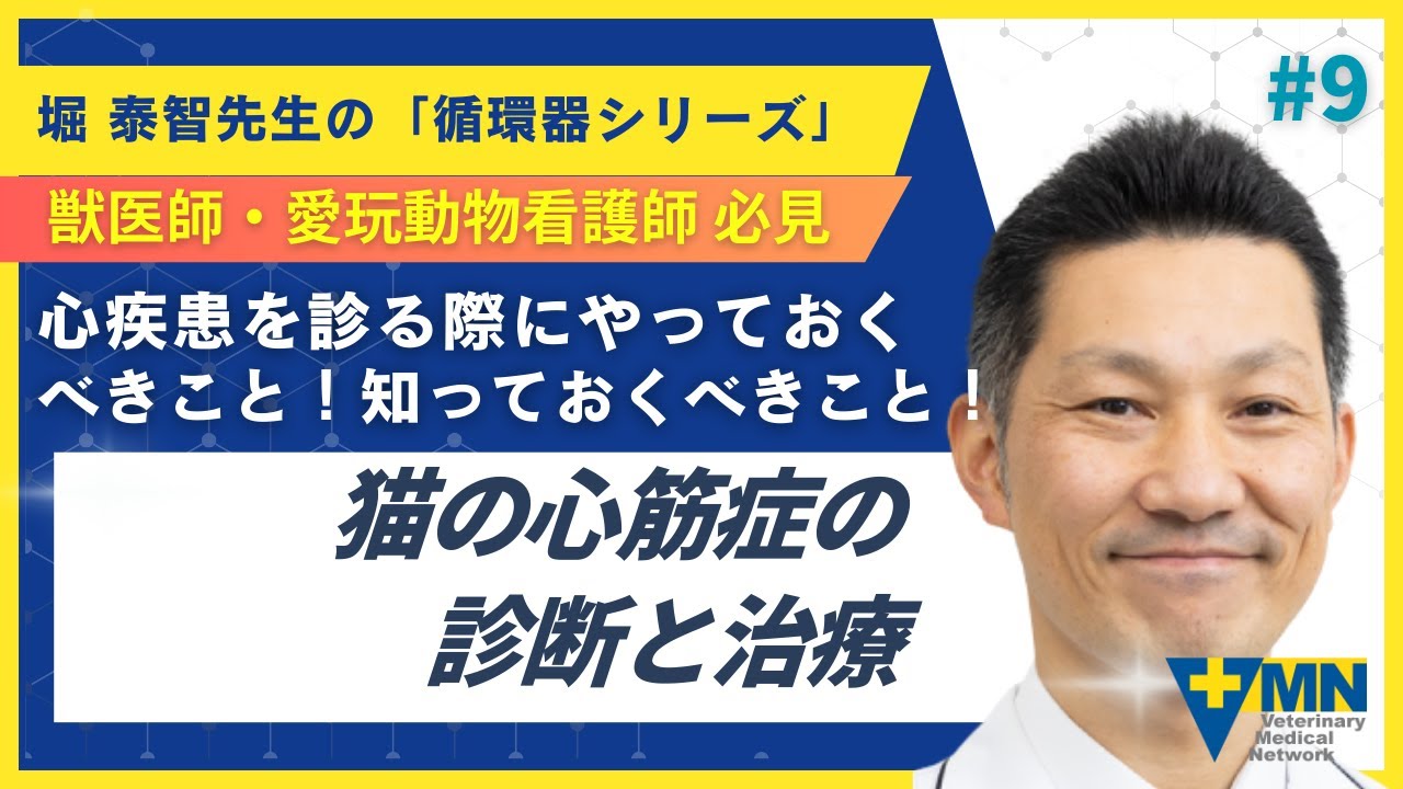 堀 泰智先生の「循環器シリーズ」 心疾患を診る際にやっておくべきこと