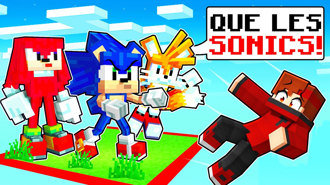 COINCÉ sur UN CHUNK avec SONIC sur Minecraft !